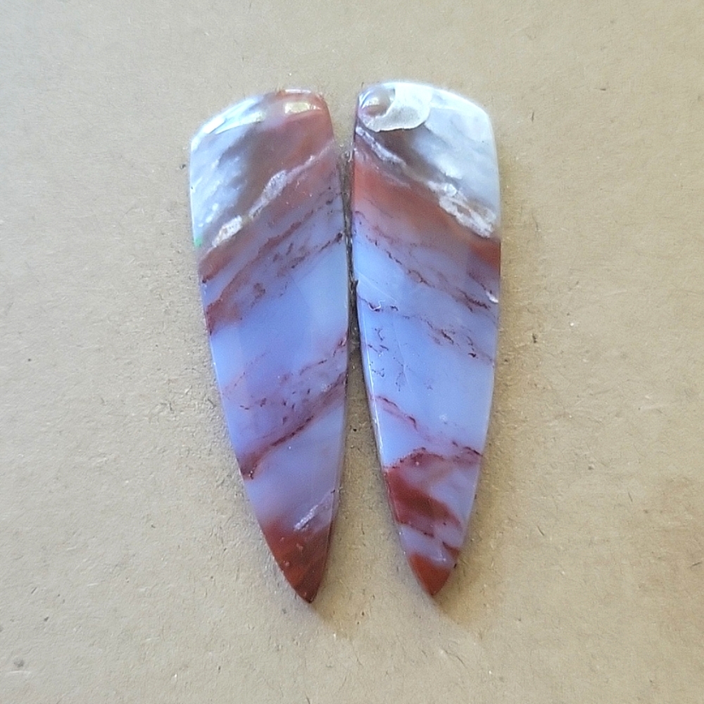 Opalized Petrified wood pair